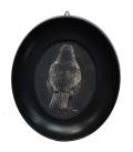 blackbirds state of mind