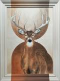 Oh Deer!